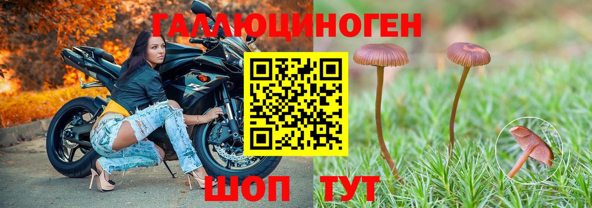 Псилоцибиновые грибы прущие грибы Соликамск