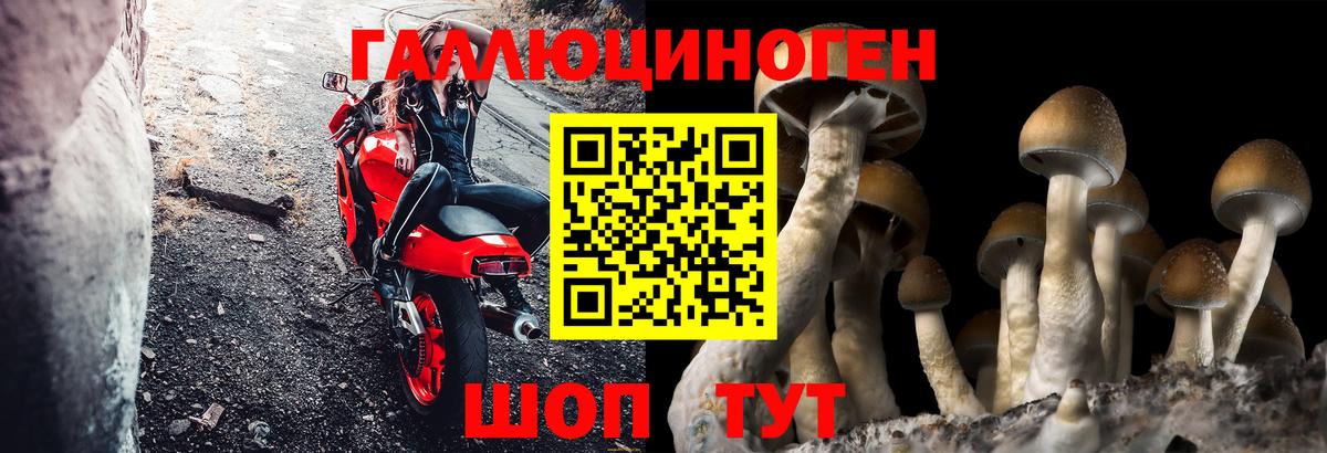 Соликамск  Псилоцибиновые грибы Psilocybine cubensis  Вход с VPN 